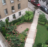 View of Courtyard from Overhead