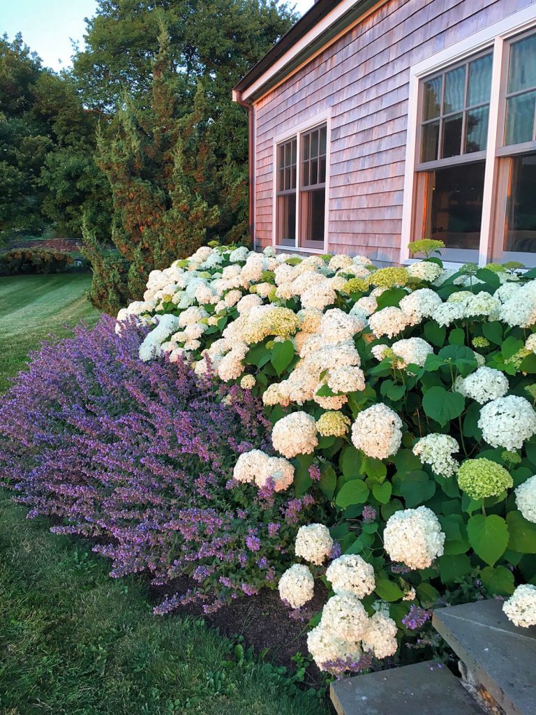 Tiverton, RI Liz Farrell Landscape